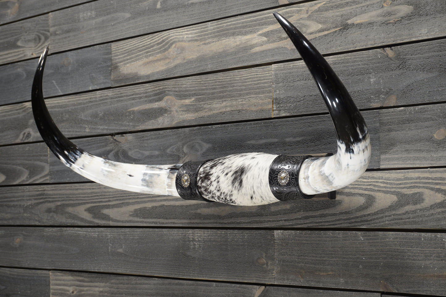 3' 0" Longhorn Wall Mount #306