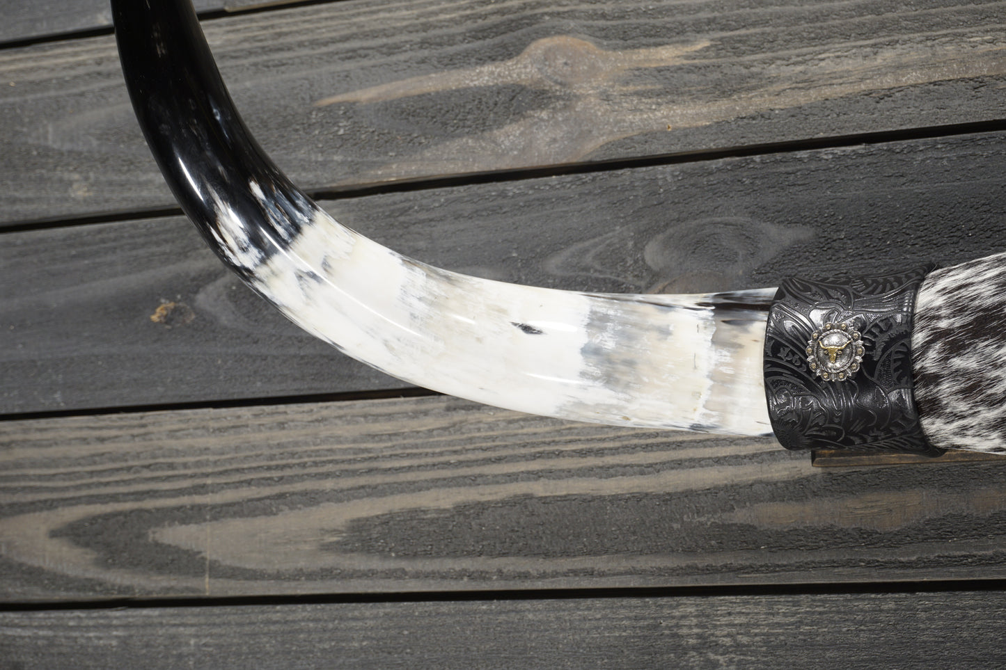 3' 0" Longhorn Wall Mount #306