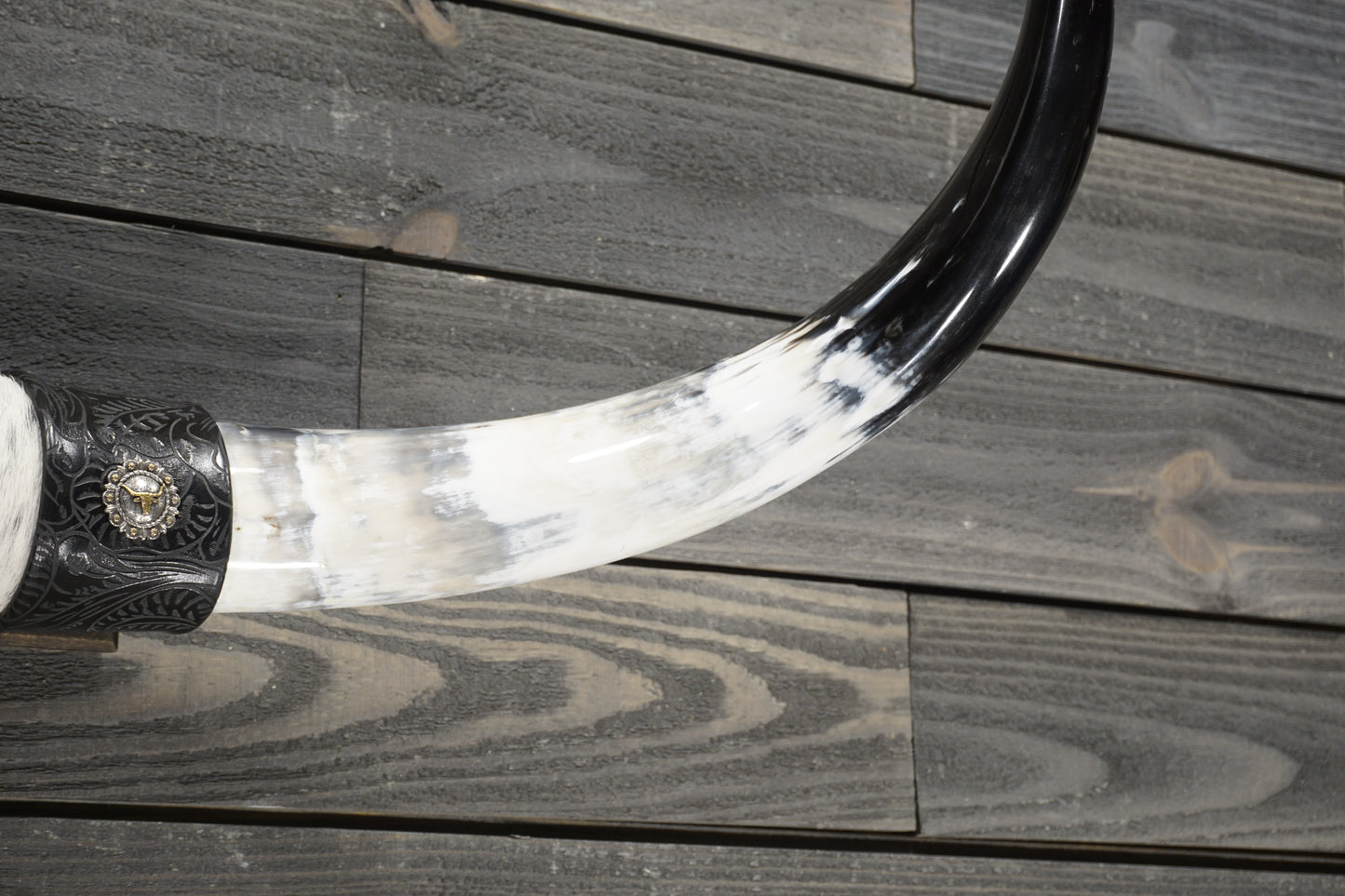 3' 0" Longhorn Wall Mount #306