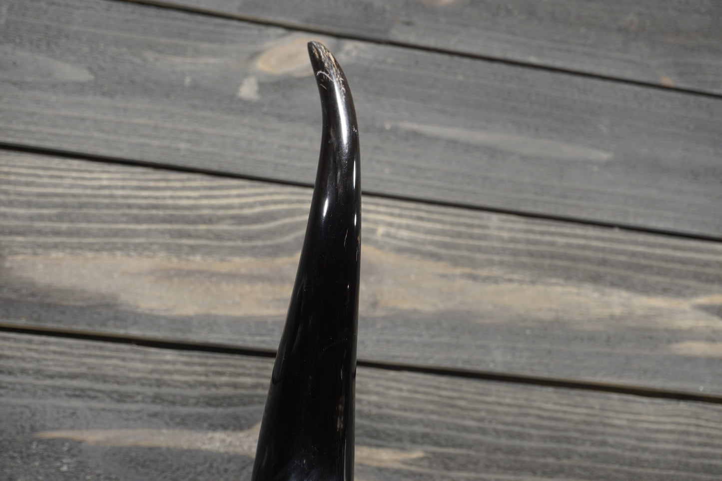 3' 0" Longhorn Wall Mount #306