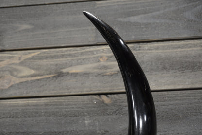 3' 0" Longhorn Wall Mount #306