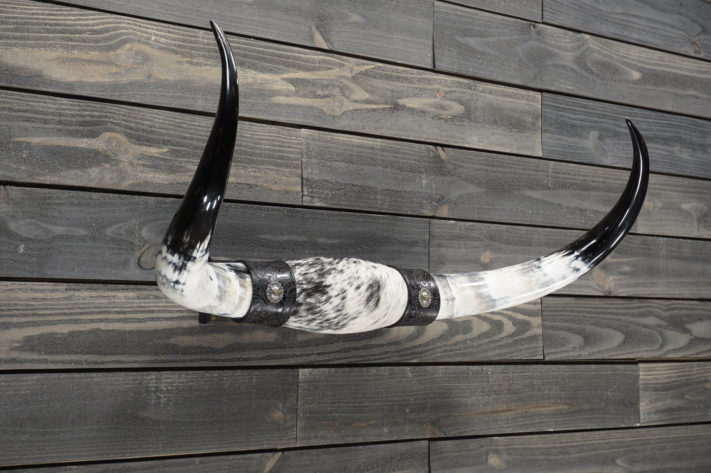 3' 0" Longhorn Wall Mount #306