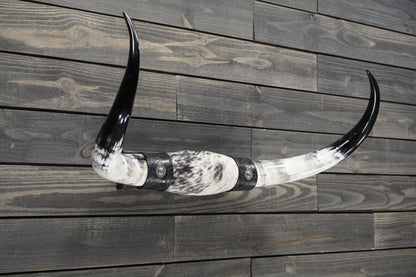 3' 0" Longhorn Wall Mount #306