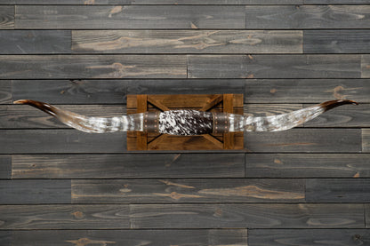 5' 6" Longhorn Wall Mount #261