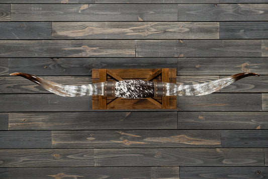 5' 6" Longhorn Wall Mount #261