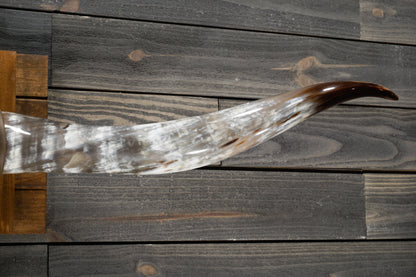 5' 6" Longhorn Wall Mount #261