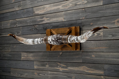 5' 6" Longhorn Wall Mount #261