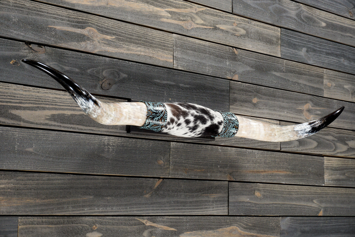 4' 9" Longhorn Wall Mount #365