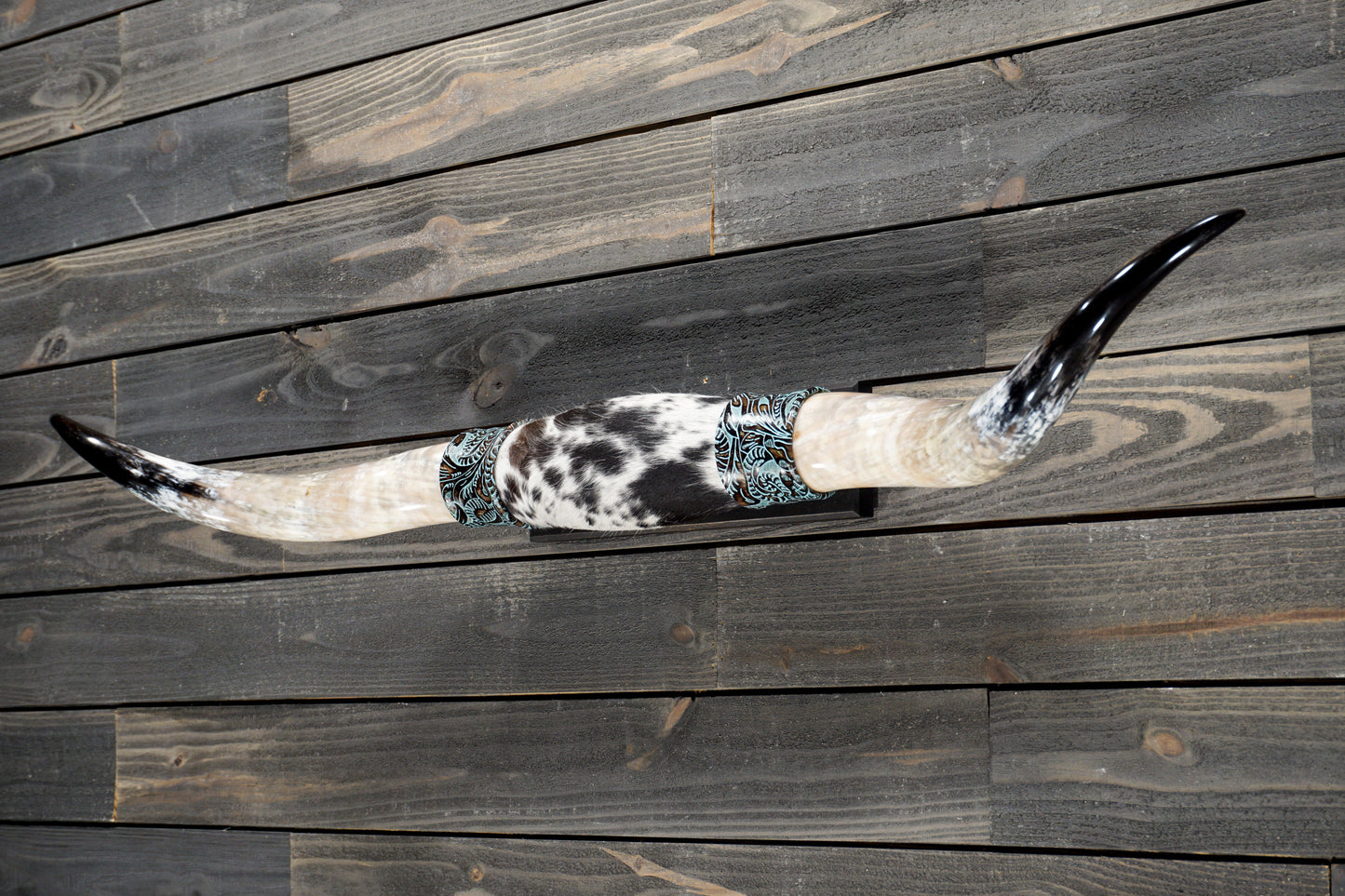 4' 9" Longhorn Wall Mount #365
