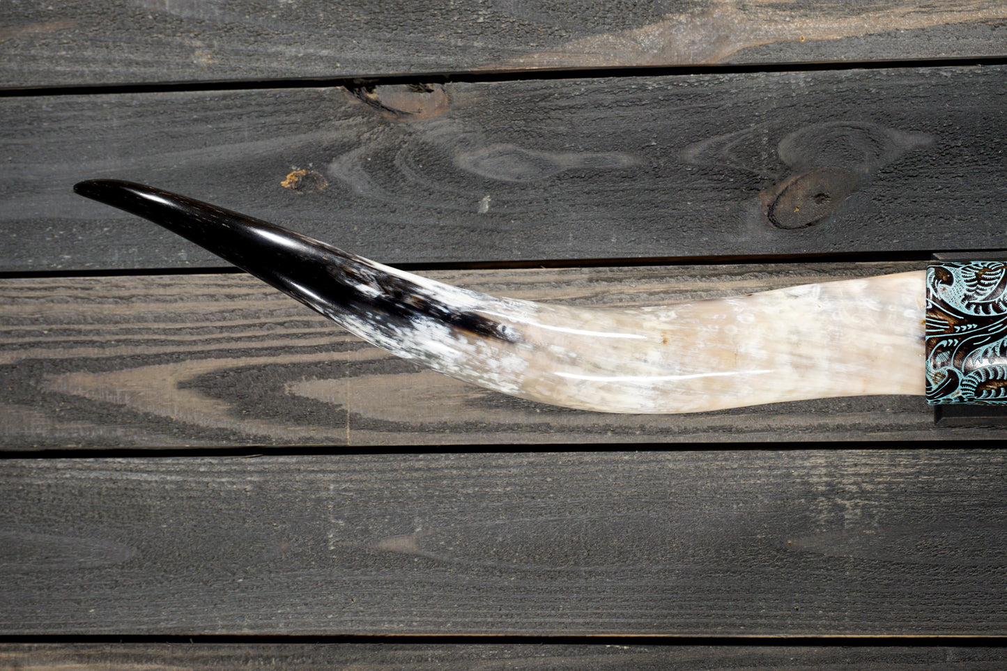 4' 9" Longhorn Wall Mount #365