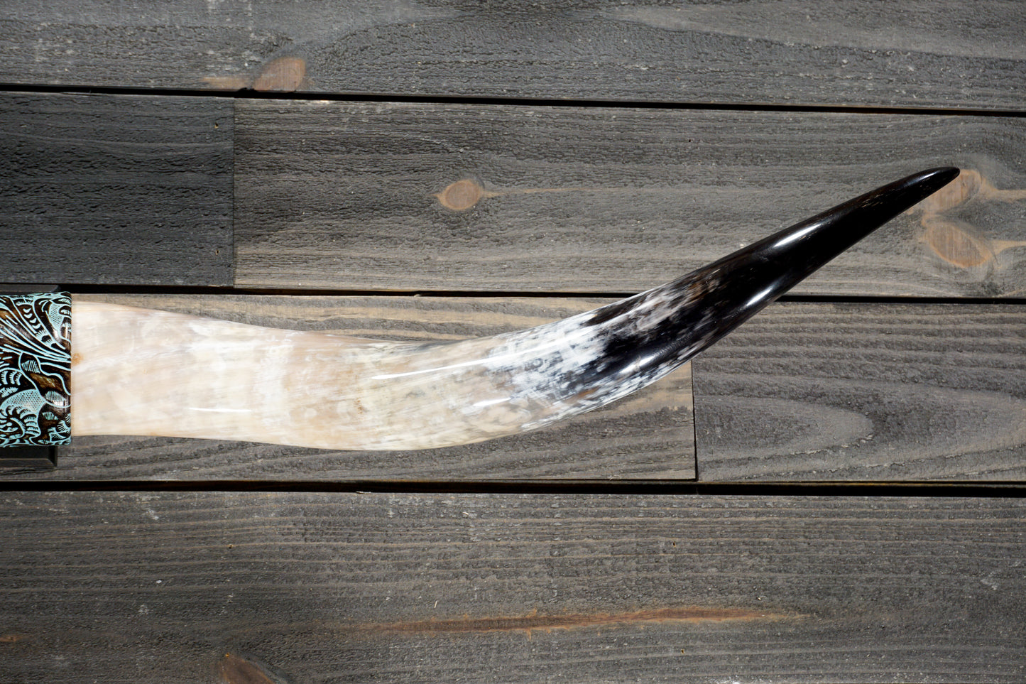4' 9" Longhorn Wall Mount #365