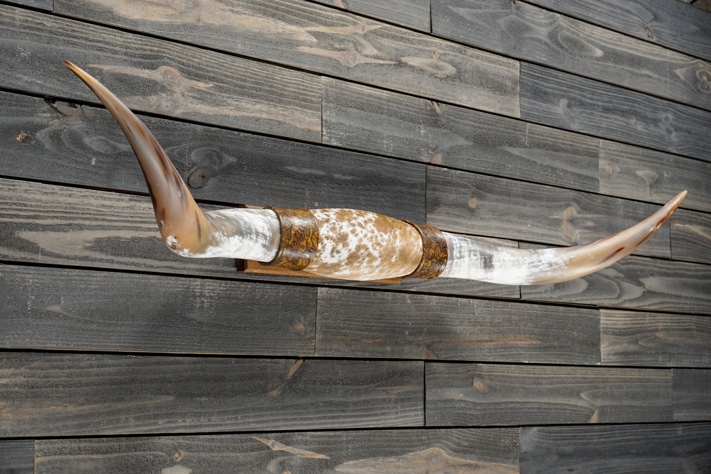5' 4" Longhorn Wall Mount #368