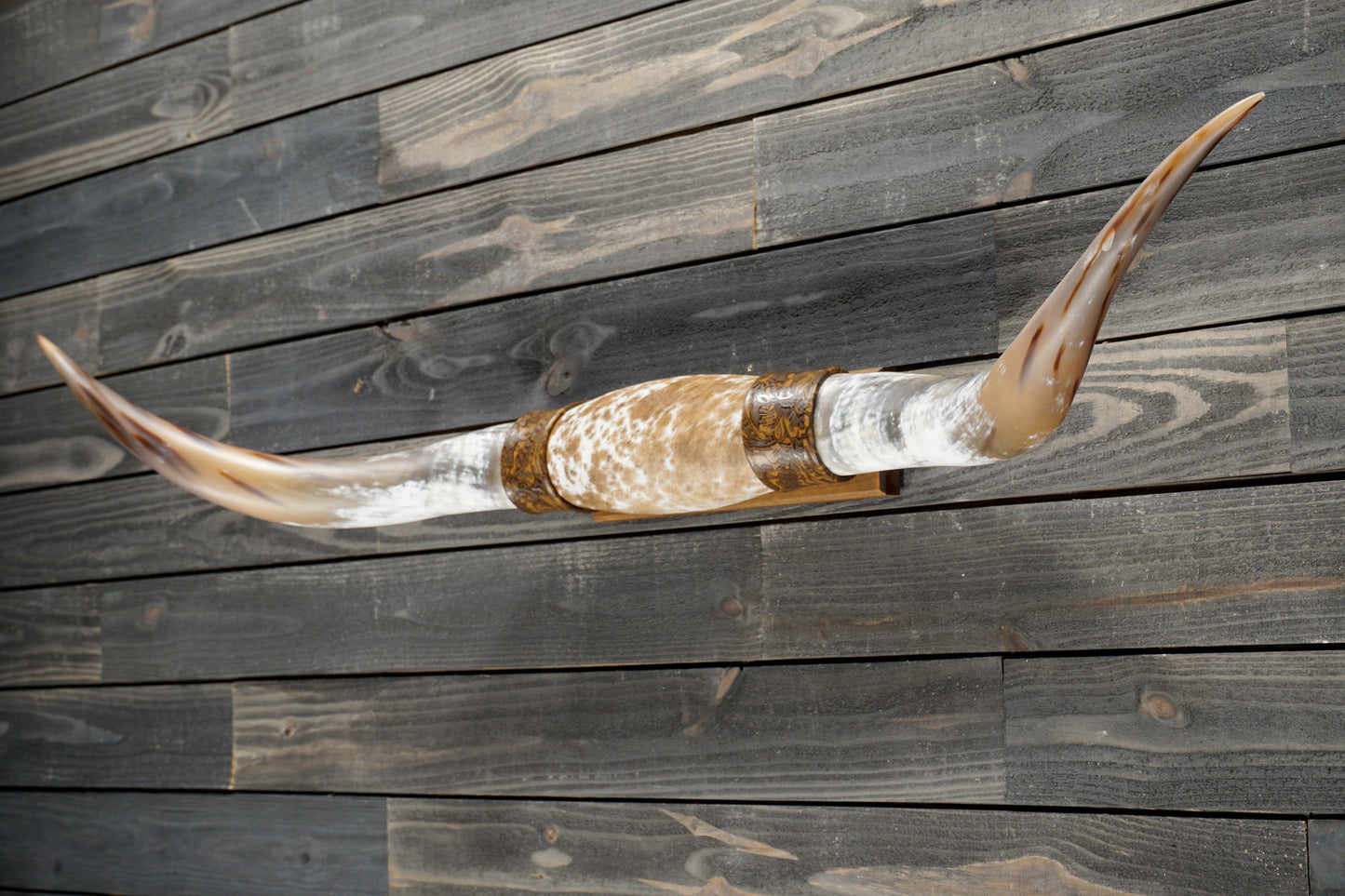 5' 4" Longhorn Wall Mount #368