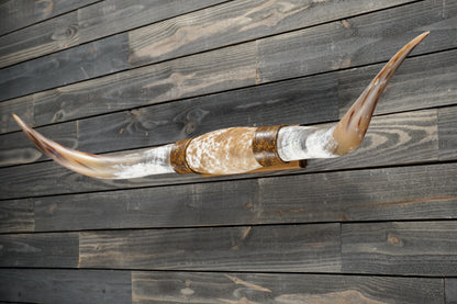 5' 4" Longhorn Wall Mount #368