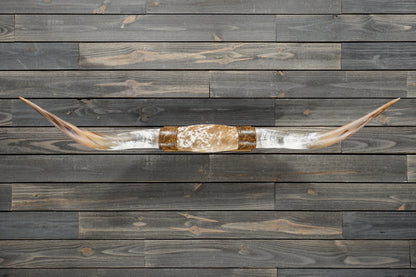 5' 4" Longhorn Wall Mount #368