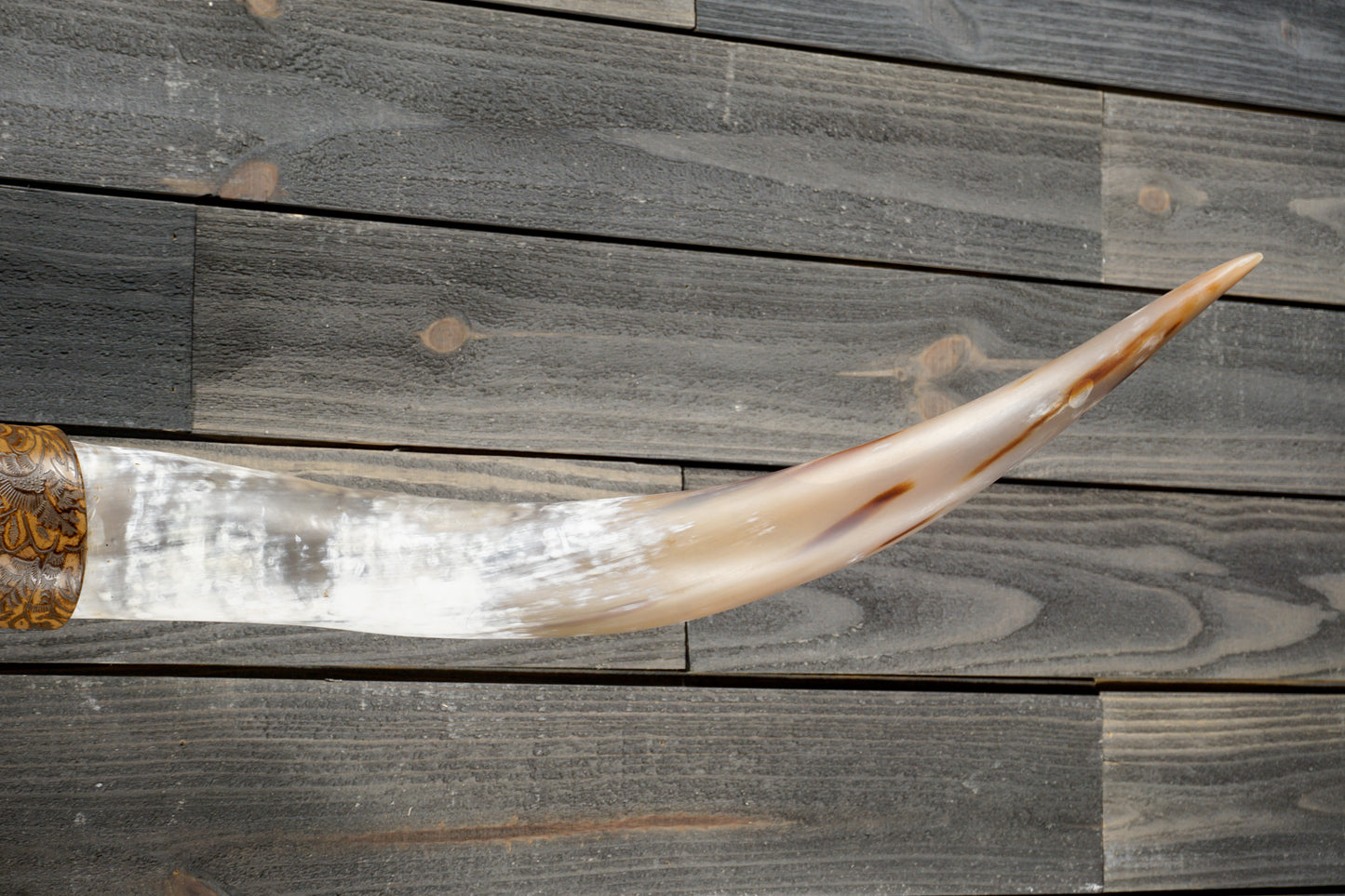 5' 4" Longhorn Wall Mount #368