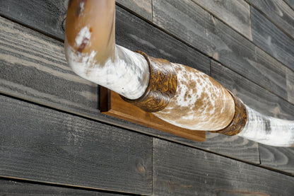 5' 4" Longhorn Wall Mount #368