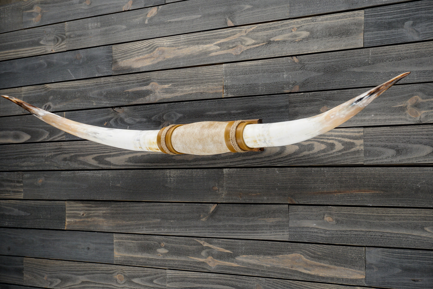 6' 1" Longhorn Wall Mount #304