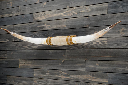 6' 1" Longhorn Wall Mount #304