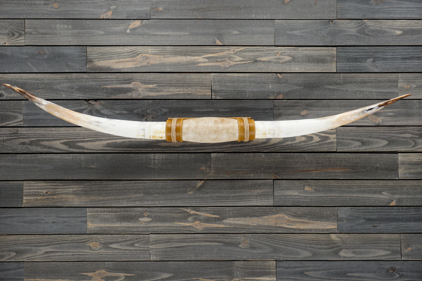 6' 1" Longhorn Wall Mount #304
