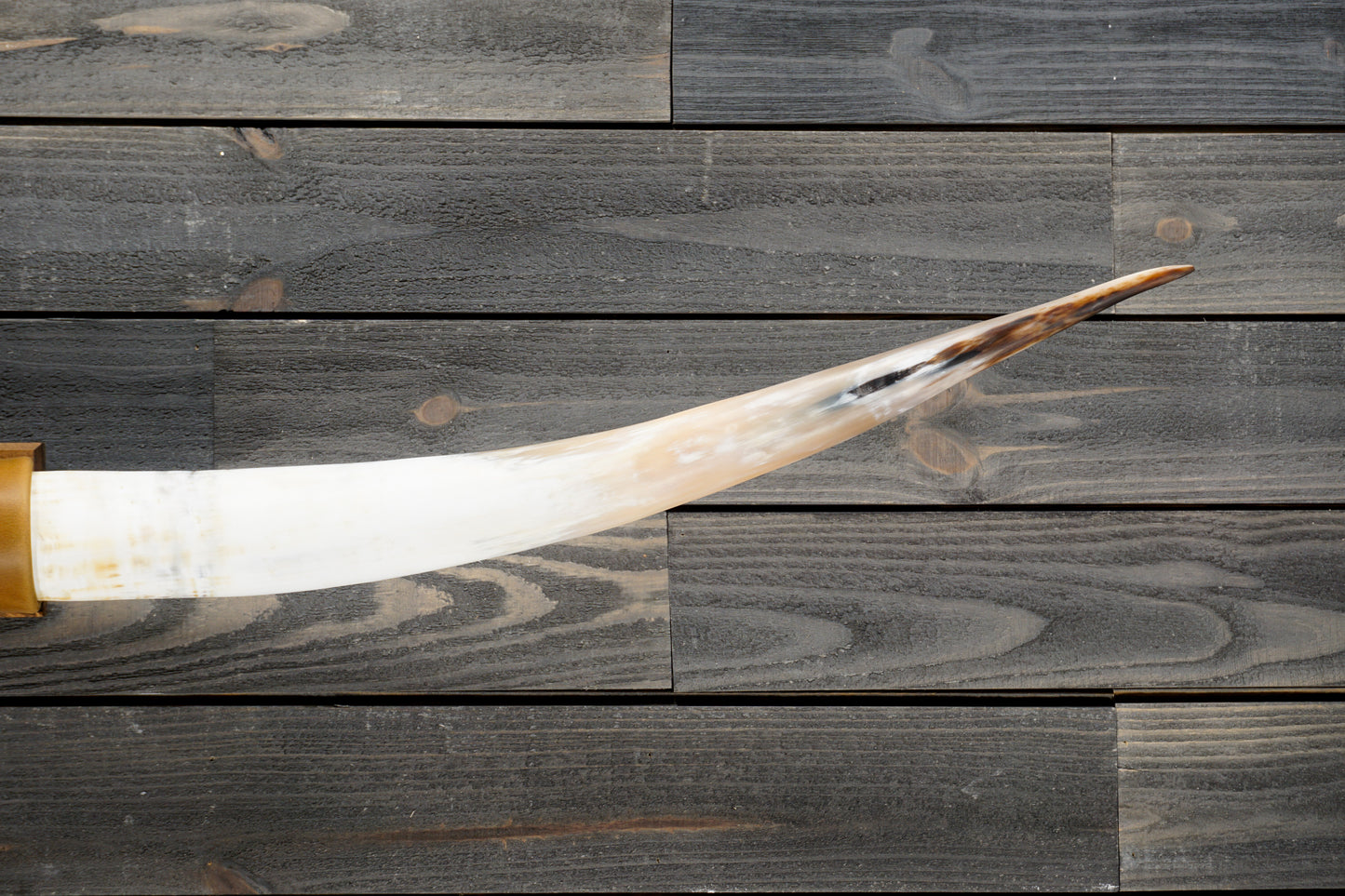 6' 1" Longhorn Wall Mount #304