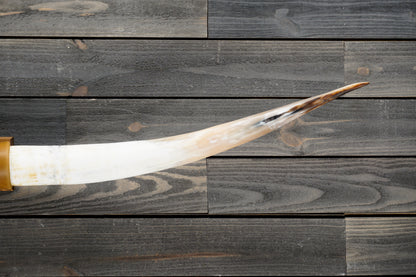 6' 1" Longhorn Wall Mount #304