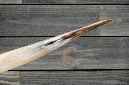 6' 1" Longhorn Wall Mount #304