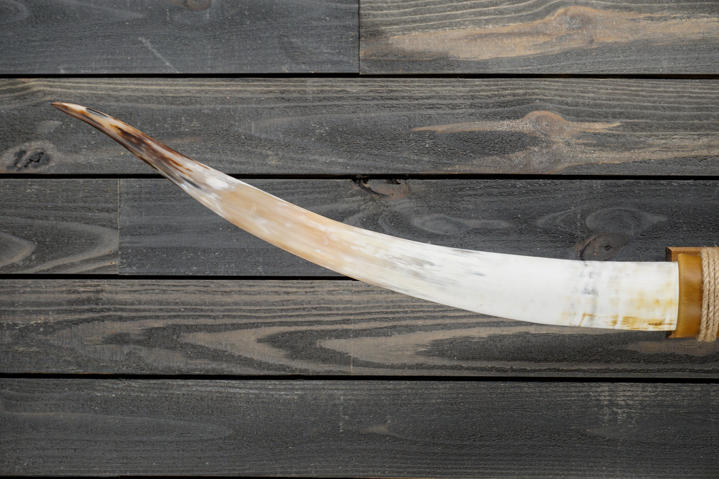 6' 1" Longhorn Wall Mount #304