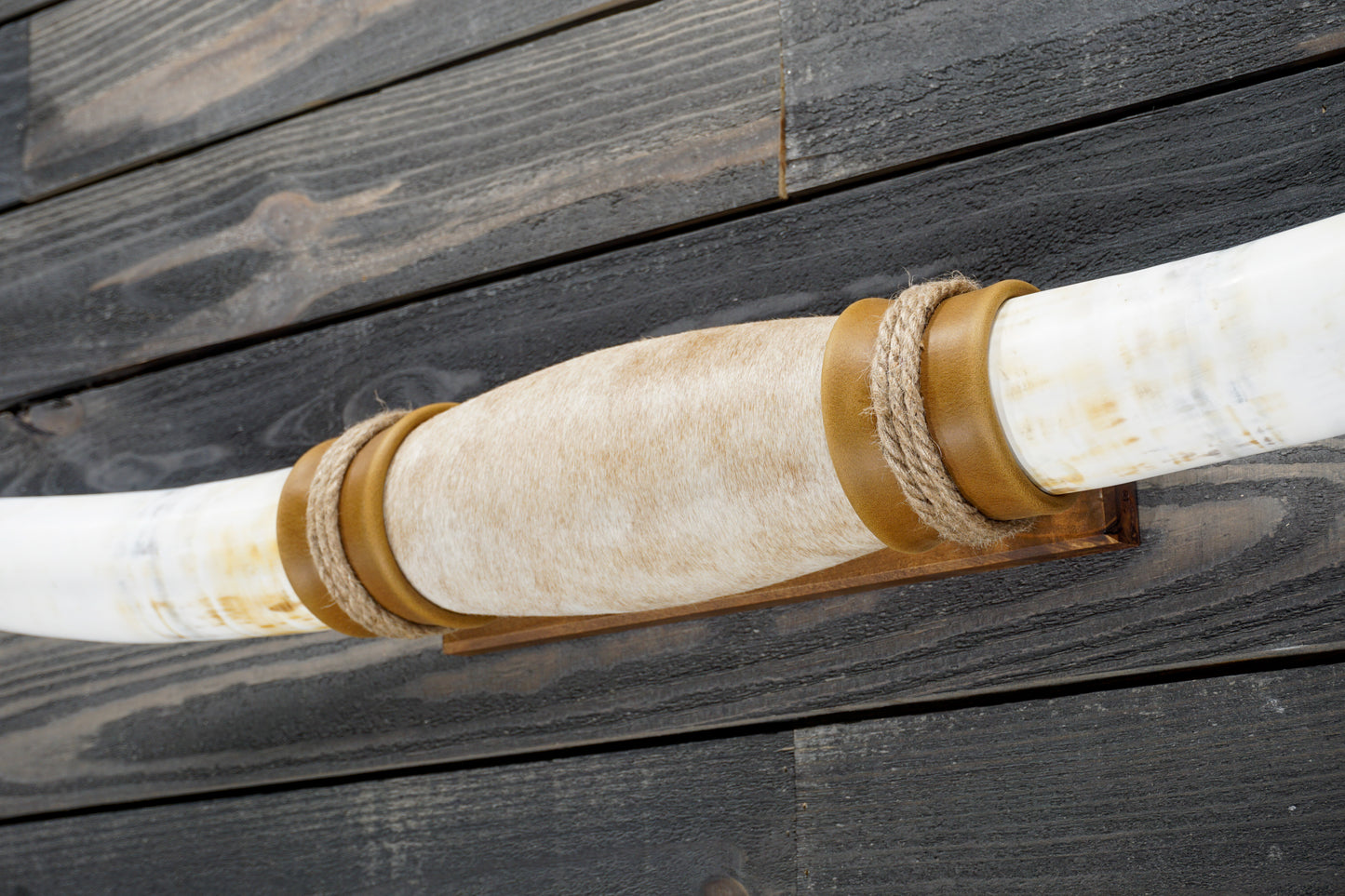 6' 1" Longhorn Wall Mount #304