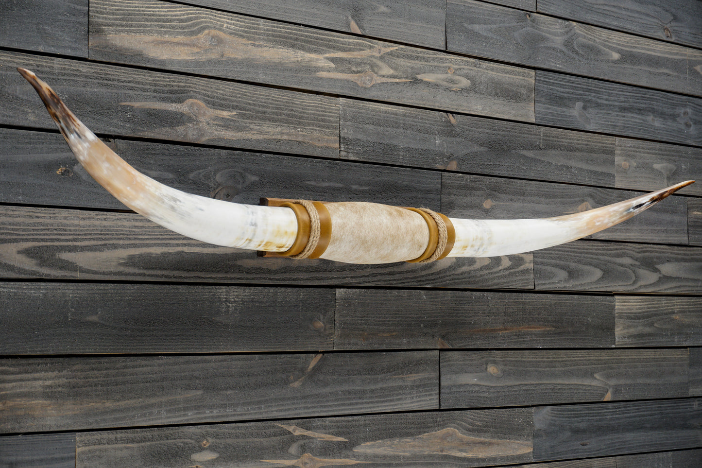 6' 1" Longhorn Wall Mount #304