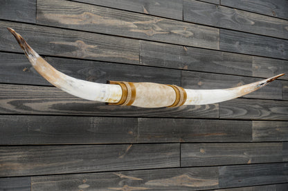 6' 1" Longhorn Wall Mount #304