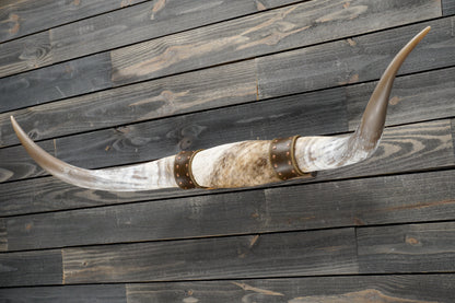 4' 9" Longhorn Wall Mount #342