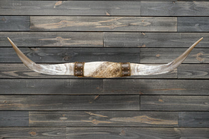 4' 9" Longhorn Wall Mount #342