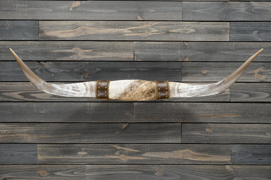 4' 9" Longhorn Wall Mount #342