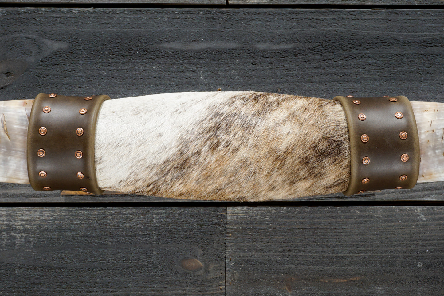 4' 9" Longhorn Wall Mount #342