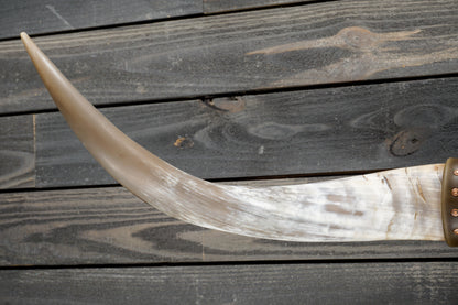 4' 9" Longhorn Wall Mount #342