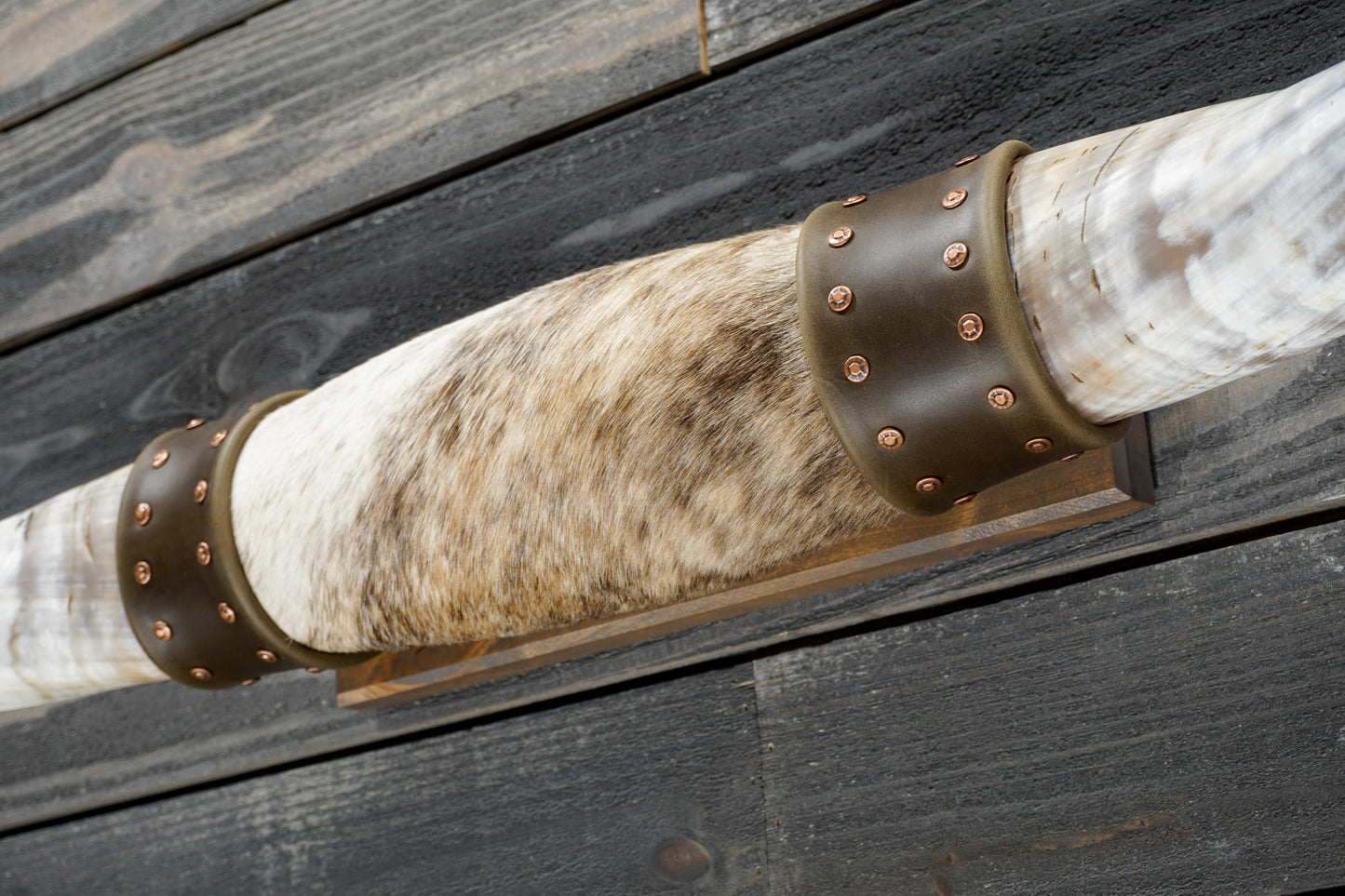 4' 9" Longhorn Wall Mount #342