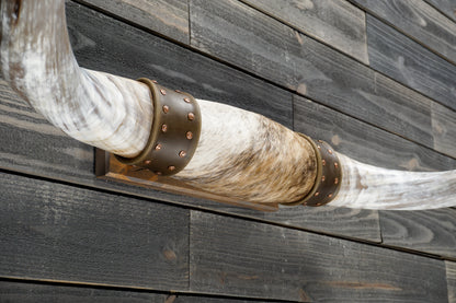 4' 9" Longhorn Wall Mount #342