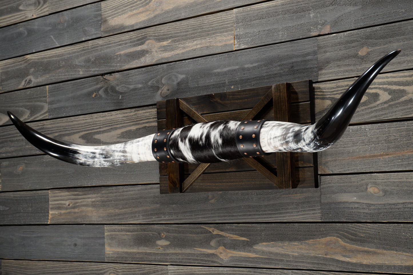 4' 10" Longhorn Wall Mount #351