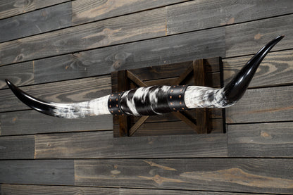 4' 10" Longhorn Wall Mount #351
