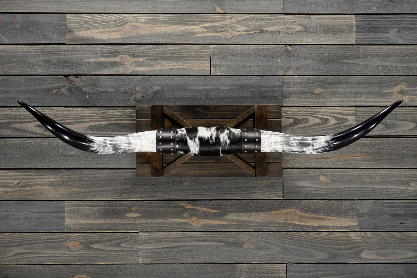 4' 10" Longhorn Wall Mount #351