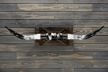 4' 10" Longhorn Wall Mount #351