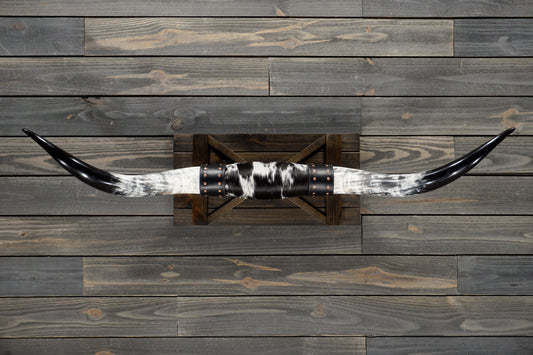 4' 10" Longhorn Wall Mount #351