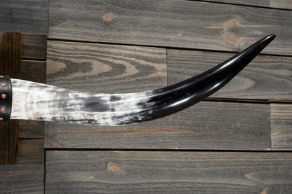 4' 10" Longhorn Wall Mount #351
