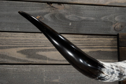 4' 10" Longhorn Wall Mount #351