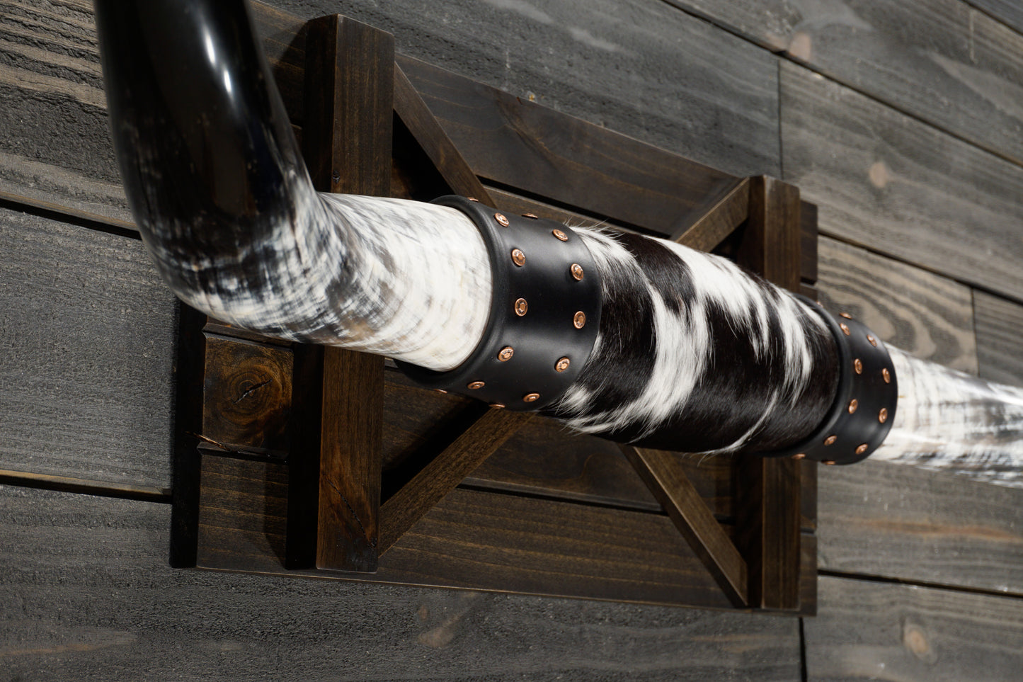 4' 10" Longhorn Wall Mount #351