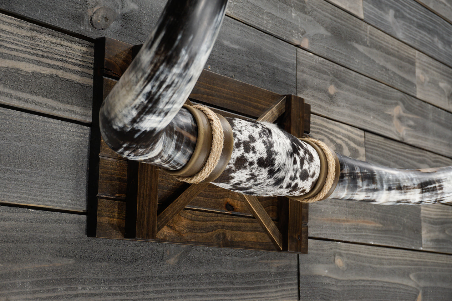 4' 4" Longhorn Wall Mount #333