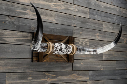 4' 4" Longhorn Wall Mount #333
