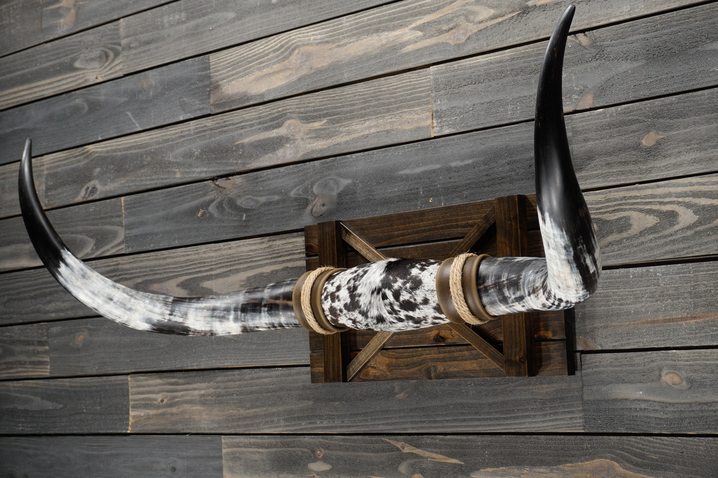 4' 4" Longhorn Wall Mount #333