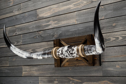 4' 4" Longhorn Wall Mount #333
